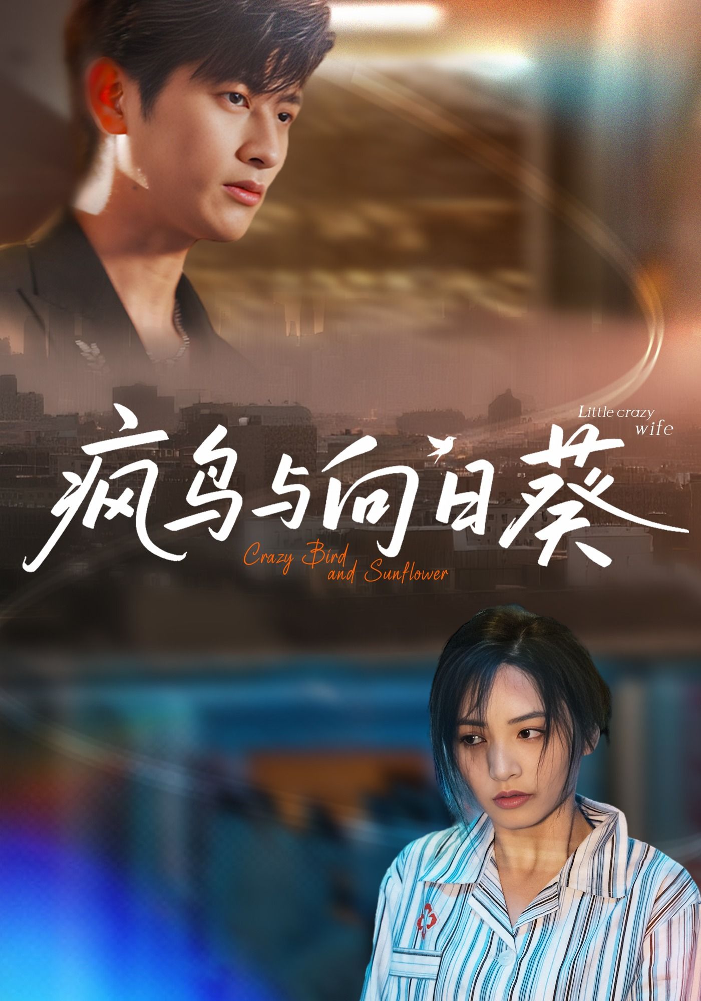 短剧 《疯鸟与向日葵》 超高清全集完整版免费在线播放 短剧 《疯鸟与向日葵》 超高清全集完整版免费在线播放