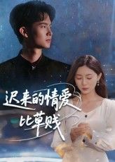 短剧 《迟来的情爱比草贱》 免费在线观看超高清全集完整版，迟来的情爱比草贱短剧免费看，超高清全集完整版在线观看，即刻追更！