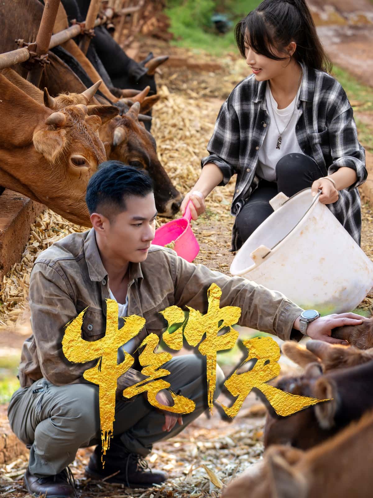 短剧牛气冲天高清全集完整版免费在线看,畅享精彩剧情,随时观看,不容错过! 短剧牛气冲天高清全集完整版免费在线看,畅享精彩剧情,随时观看,不容错过!