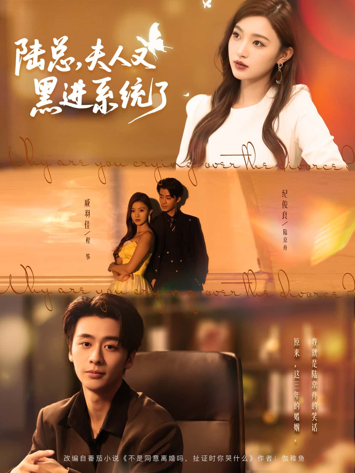 短剧 《陆总，夫人又黑进系统了》 1080P 超高清全集完整版在线播放