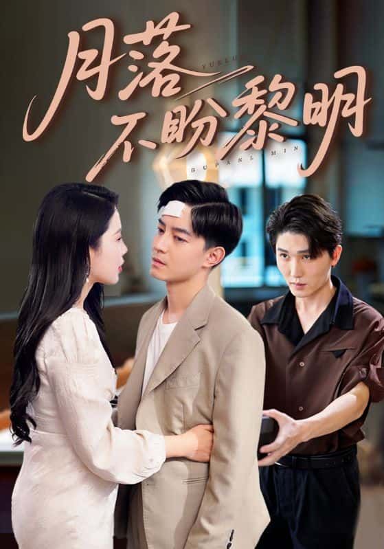 短剧月落不盼黎明超高清全集完整版在线观看，精彩剧情即刻呈现。