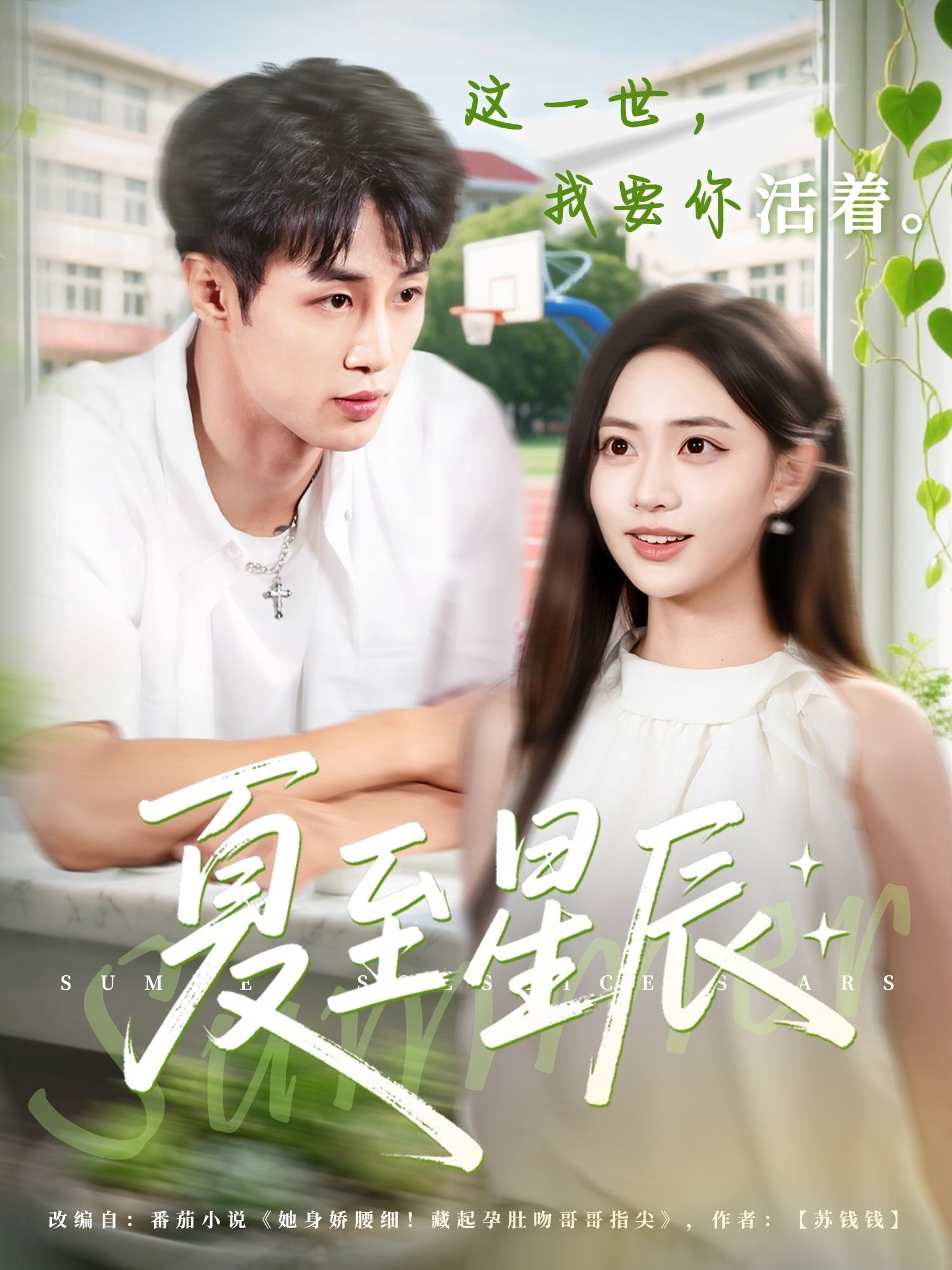 短剧夏至星辰高清无删减全集完整版在线观看 短剧夏至星辰高清无删减全集完整版在线观看