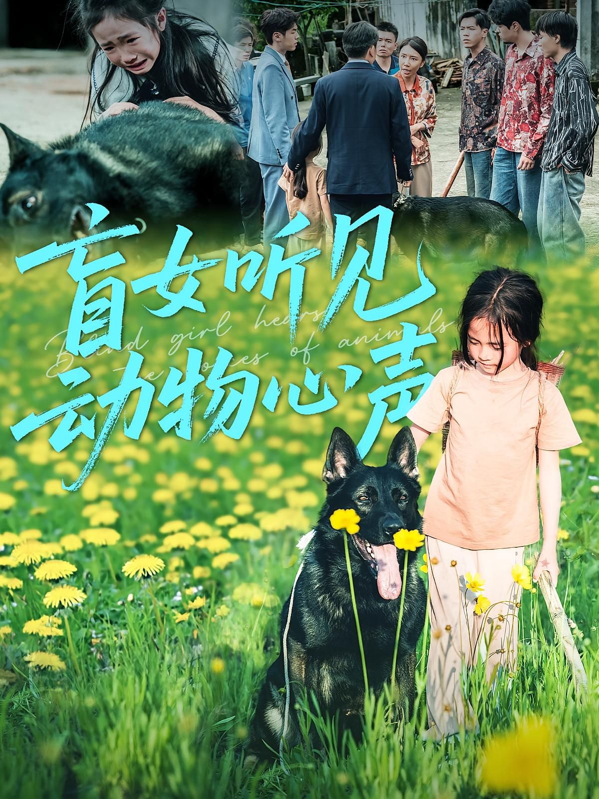 短剧盲女听见动物心声高清无删减全集,在线观看! 短剧盲女听见动物心声高清无删减全集,在线观看!