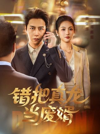 短剧《错把真龙当赘婿》 短剧全集在线，免费高清观看，大结局震撼来袭！