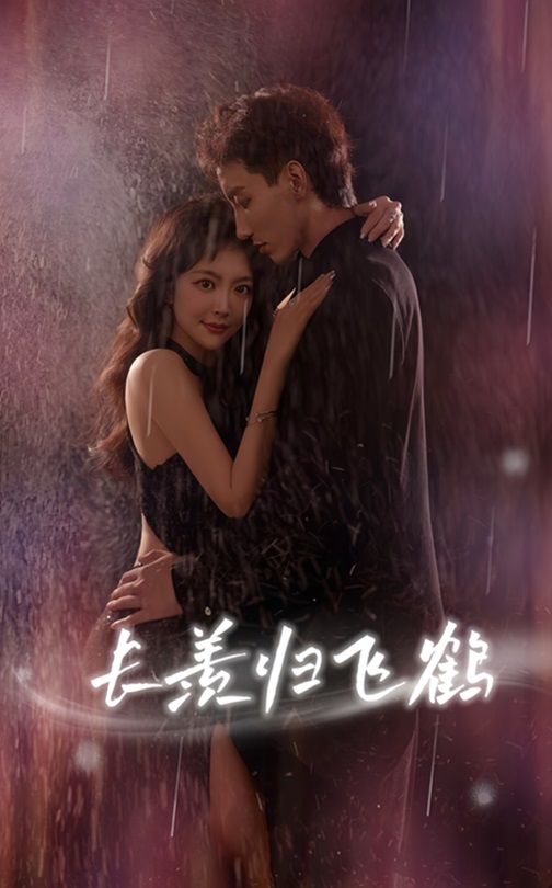 短剧 《长羡归飞鹤》 HD 高清全集完整版免费在线看，长羡归飞鹤HD 高清完整版