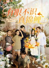 短剧有眼不识真锦鲤免费在线看，高清全集无删减版，畅看全剧！