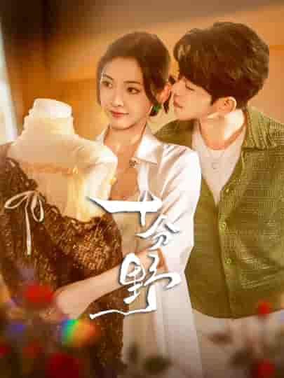 短剧十分野1080P高清，完整全集完整版在线观看