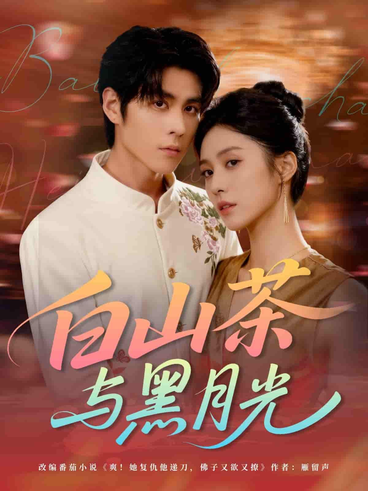 短剧白山茶与黑月光超高清完整全集无删减版在线观看 短剧白山茶与黑月光超高清完整全集无删减版在线观看