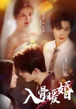 短剧 《入骨暖婚》 在线观看超高清全集完整版