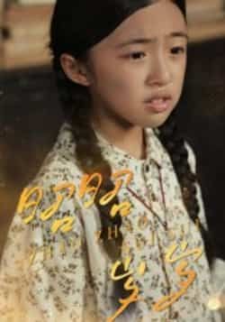 热门短剧《昭昭岁岁》 全集完整版免费播放在线观看未删减版资源,短剧百度网盘夸克网盘免费资源分享下载 热门短剧《昭昭岁岁》 全集完整版免费播放在线观看未删减版资源,短剧百度网盘夸克网盘免费资源分享下载